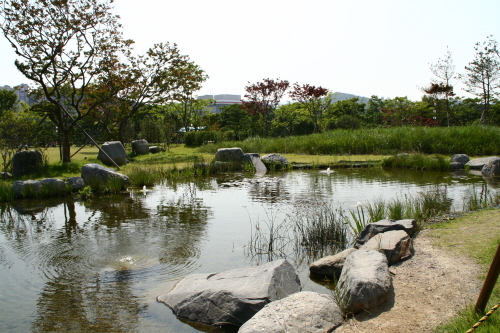 평화로운 연못을 바라보며 